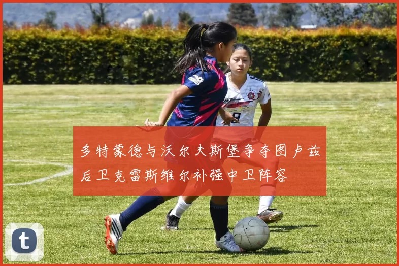 多特蒙德与沃尔夫斯堡争夺图卢兹后卫克雷斯维尔补强中卫阵容