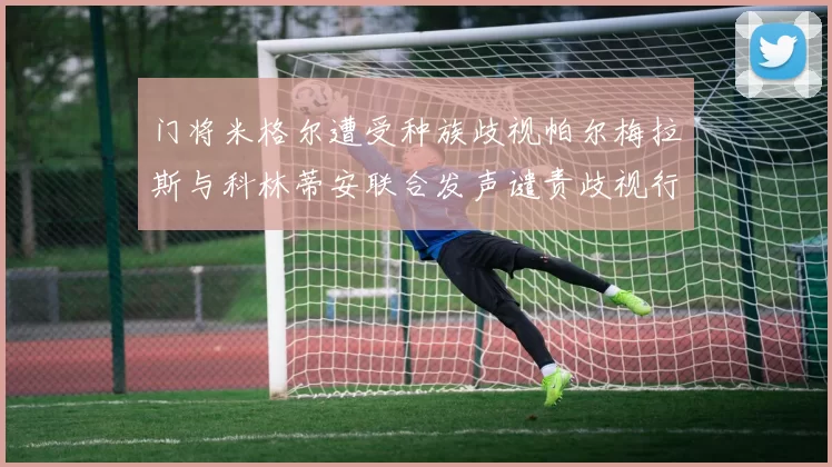 门将米格尔遭受种族歧视帕尔梅拉斯与科林蒂安联合发声谴责歧视行为