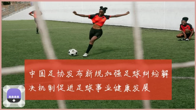 中国足协发布新规加强足球纠纷解决机制促进足球事业健康发展