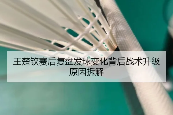 王楚钦赛后复盘发球变化背后战术升级原因拆解